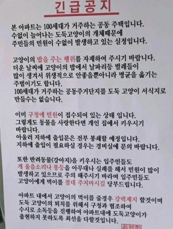 노트펫