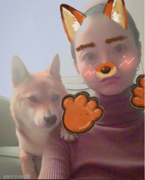 노트펫