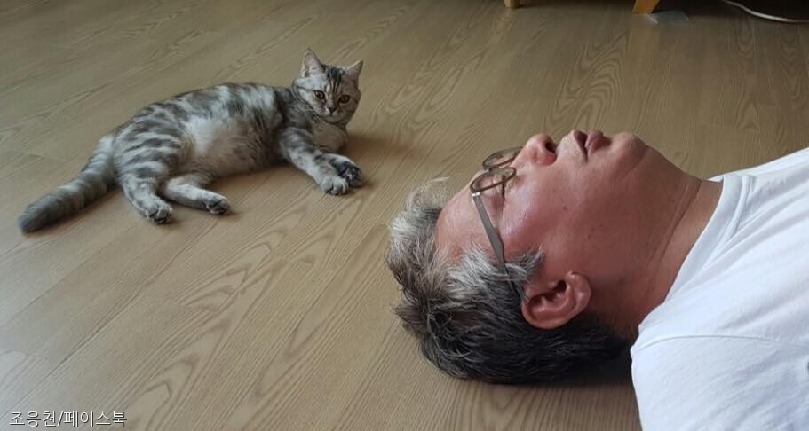 노트펫