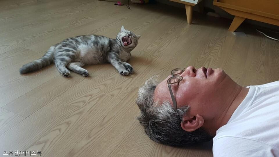 노트펫