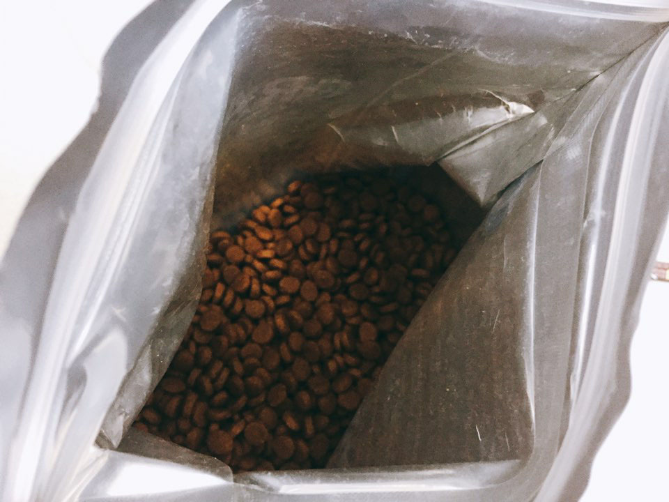 노트펫