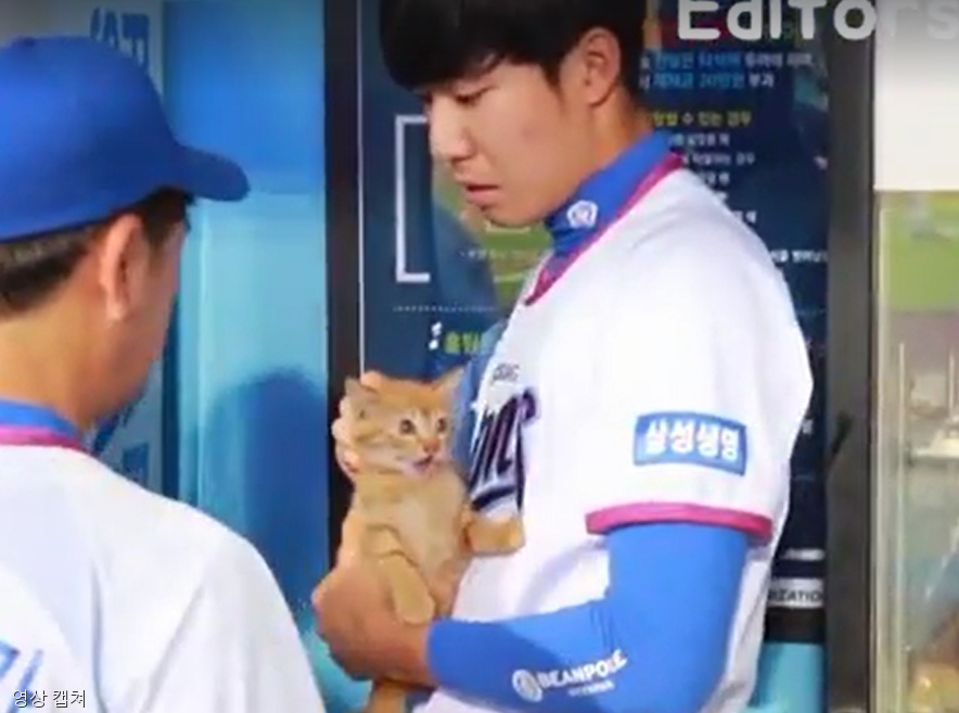 노트펫