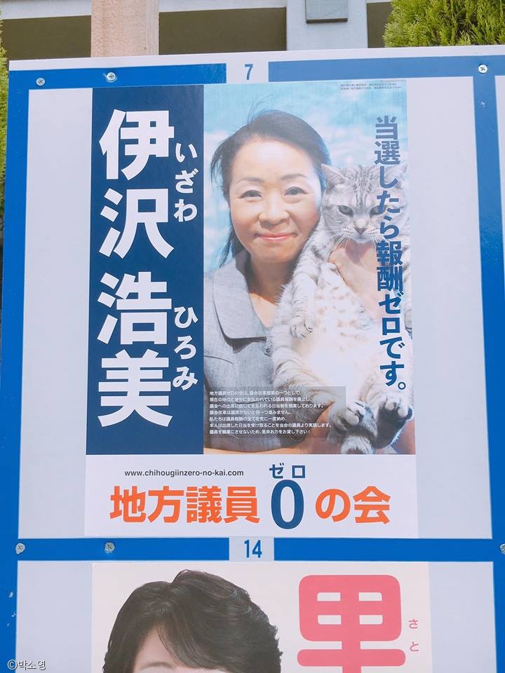 노트펫