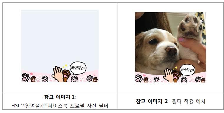 노트펫
