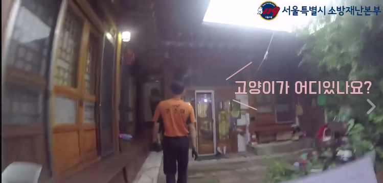 노트펫