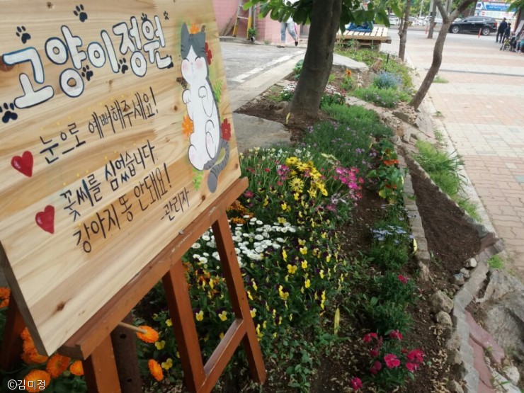 노트펫