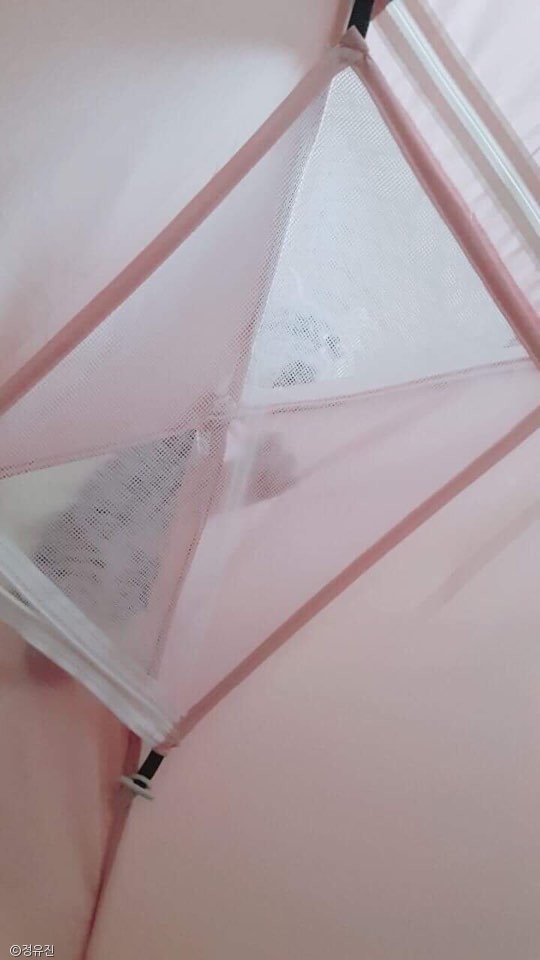 노트펫