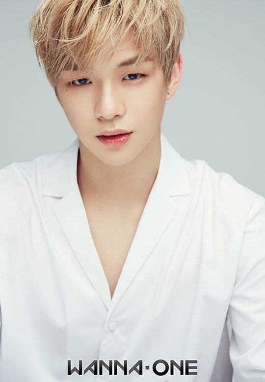 노트펫