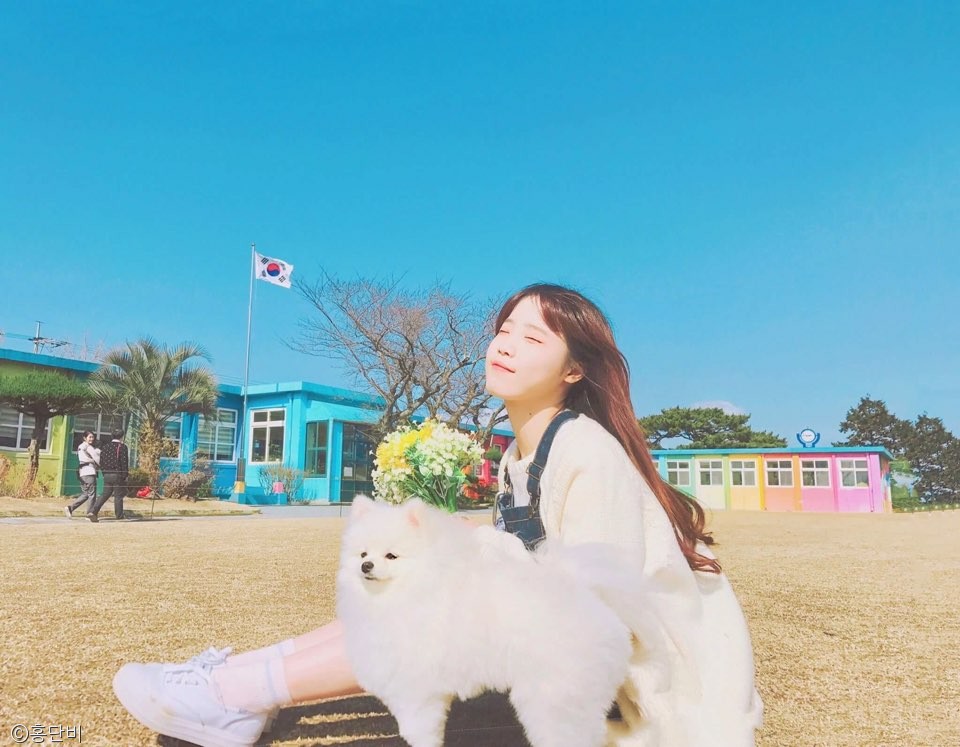 노트펫