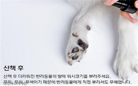 노트펫