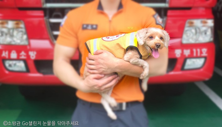 노트펫