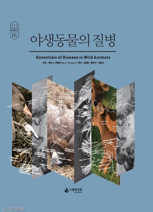 노트펫