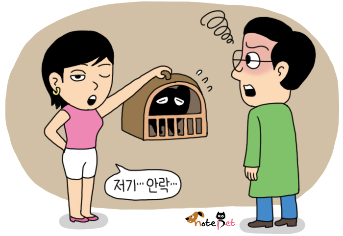 노트펫