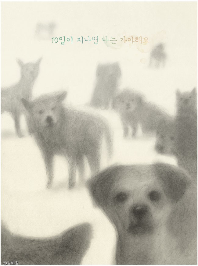 노트펫