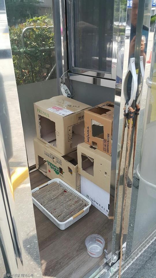노트펫