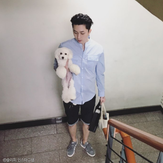 노트펫