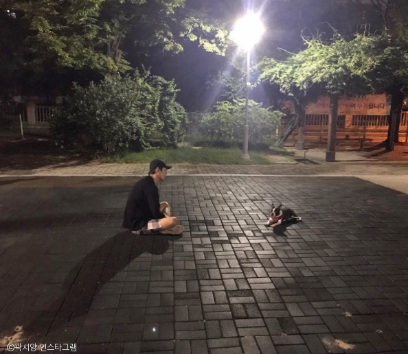 노트펫
