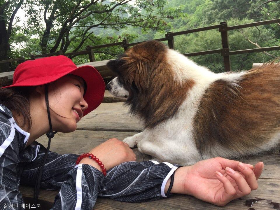 노트펫