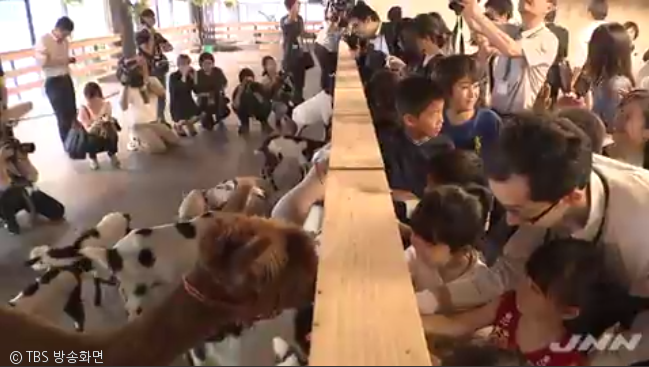 노트펫