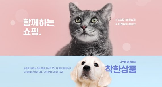 노트펫