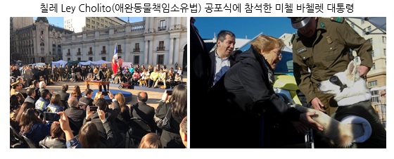 노트펫