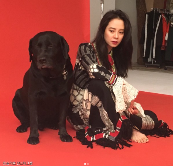 노트펫