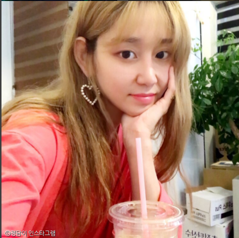 노트펫