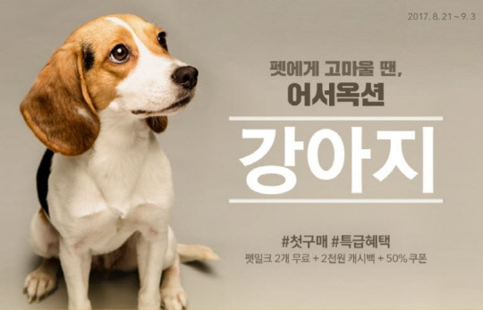 노트펫