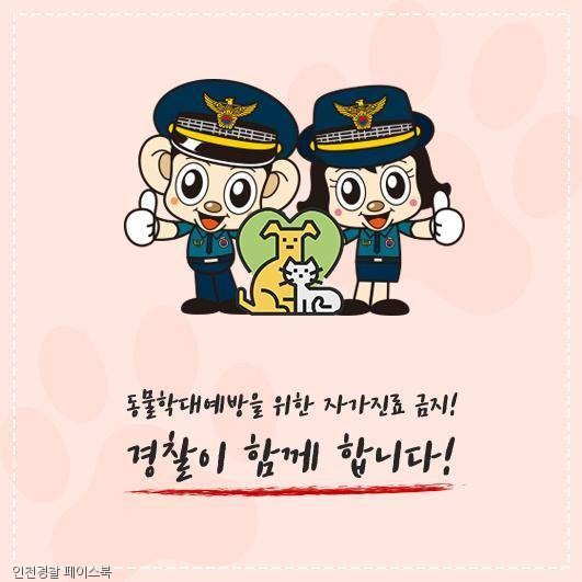 노트펫