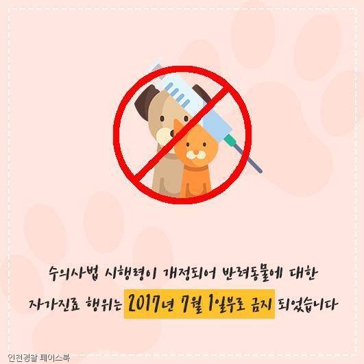 노트펫