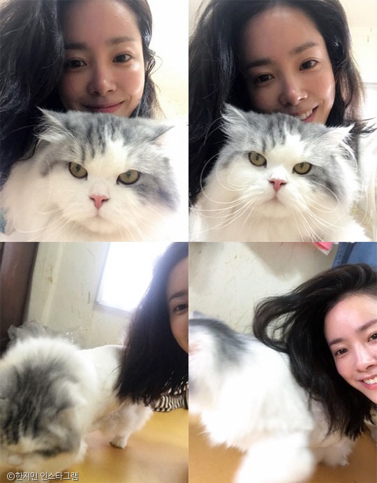 노트펫