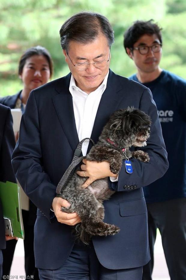노트펫