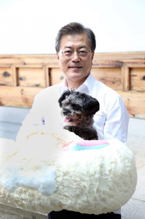 노트펫
