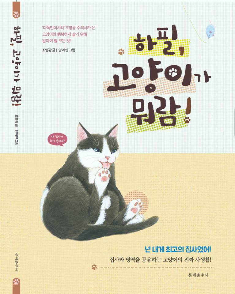 노트펫