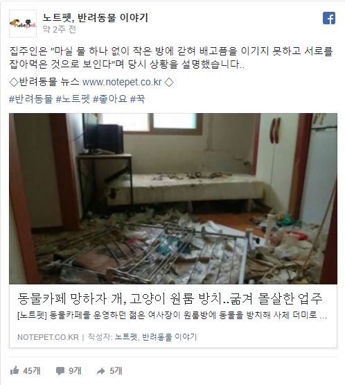 노트펫
