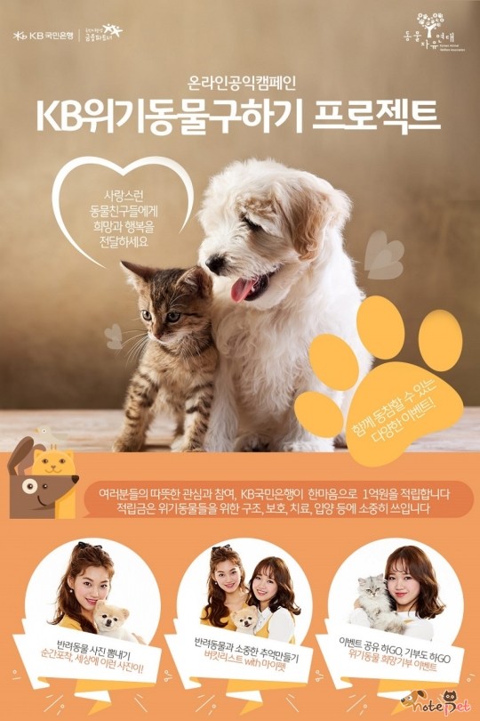 노트펫