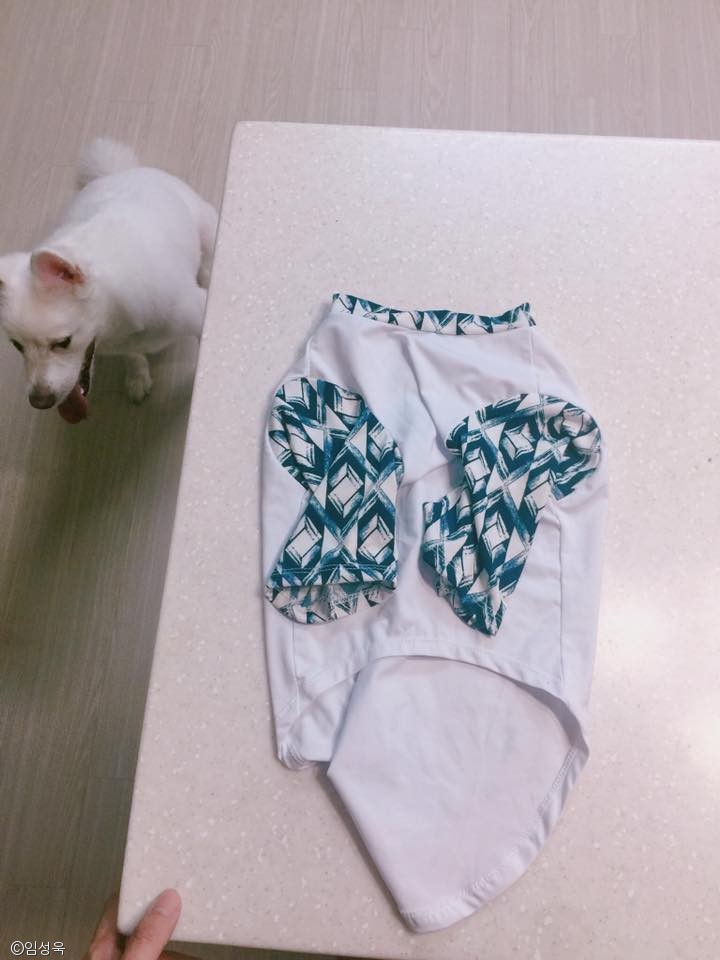 노트펫