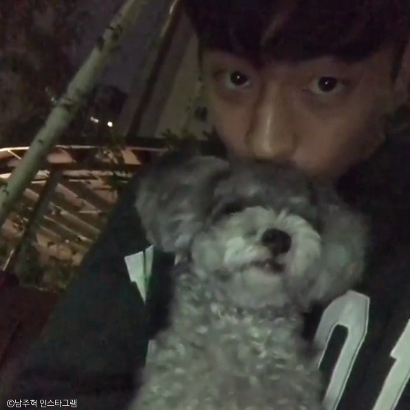 노트펫