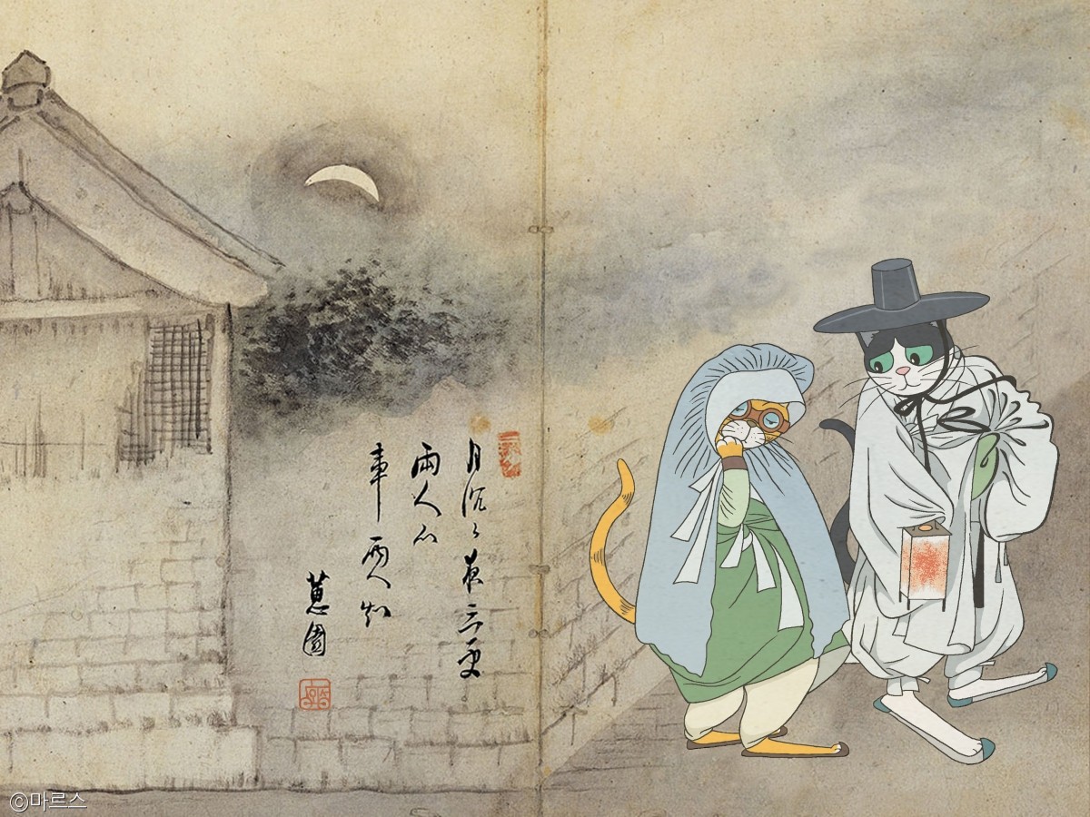 노트펫