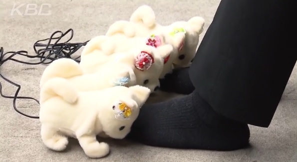 노트펫