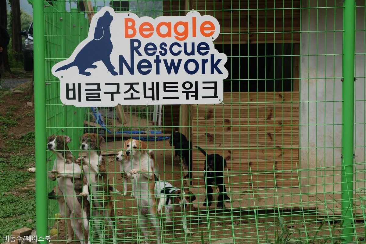 노트펫