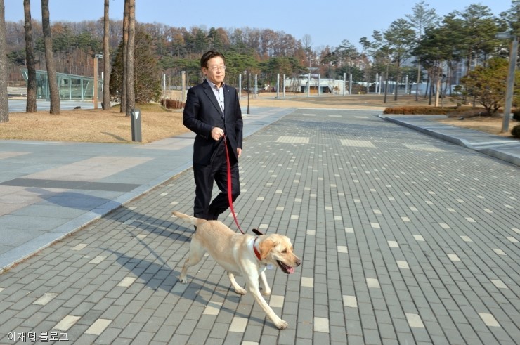 노트펫