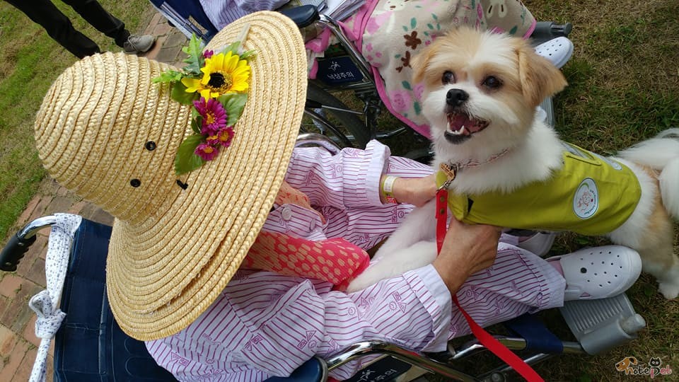 노트펫