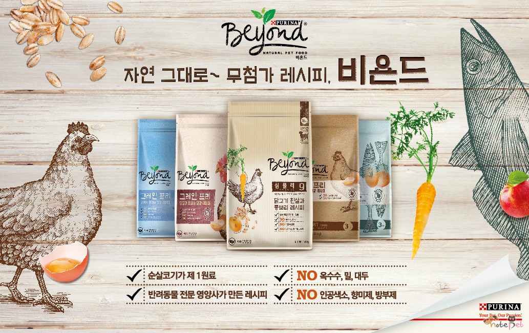 노트펫