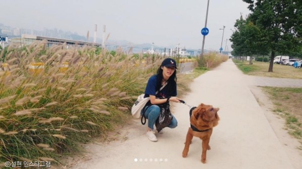 노트펫