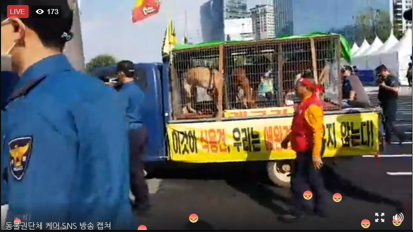 노트펫