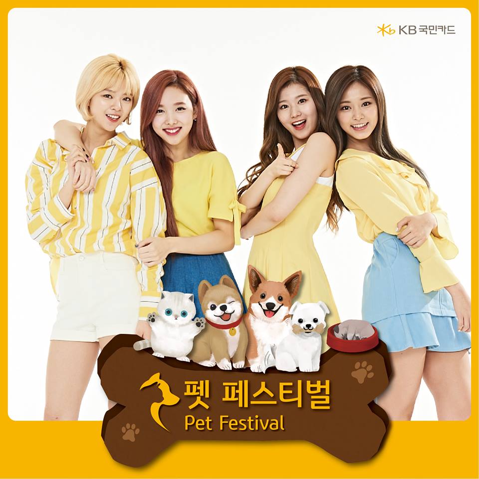 노트펫