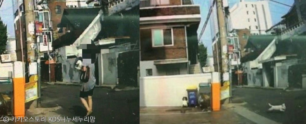 노트펫