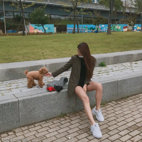 노트펫