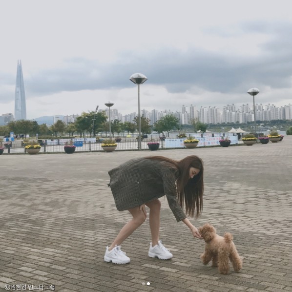 노트펫